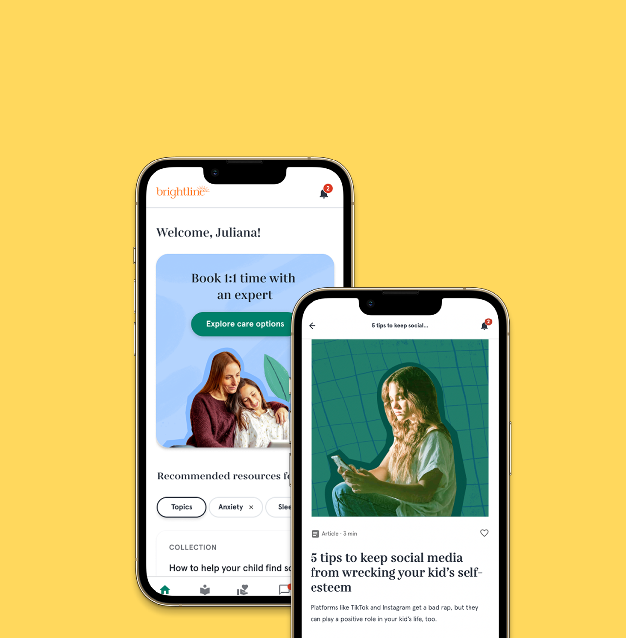 Two phones with the Brightline website